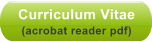 Curriculum Vitae  (acrobat reader pdf)